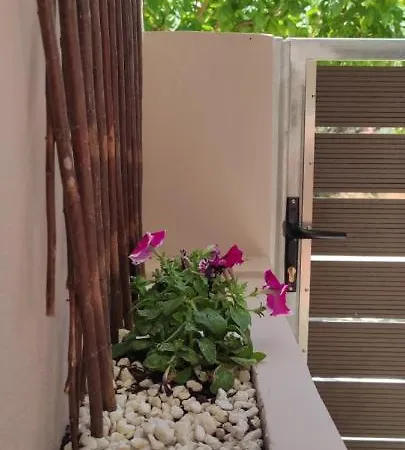 New 1.5km From The Center Of Chania *